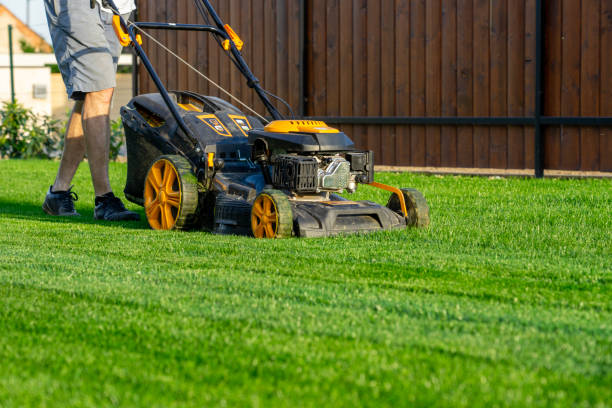 green grass cutting with lawn mower in home garden .